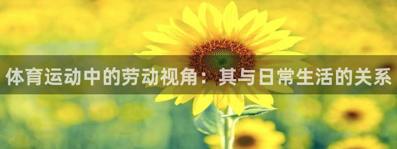 企鹅体育微博：体育运动中的劳动视角：其与日常生活的关系