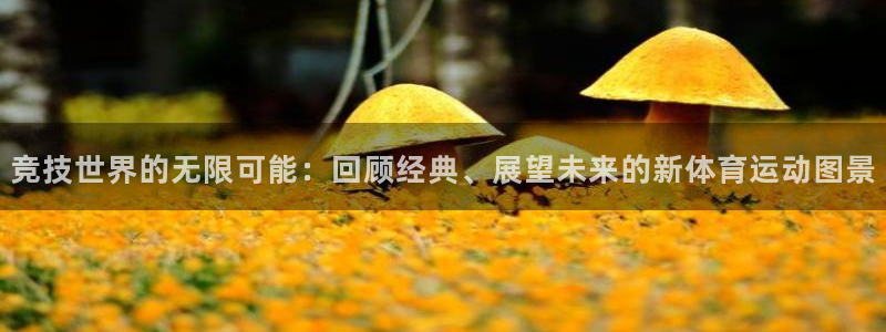 企鹅体育NBA火箭比赛录像：竞技世界的无限可能：回顾经典、展望未来的新体育运动图景