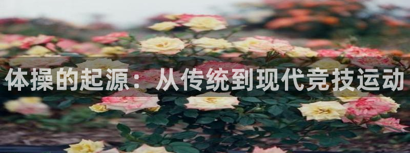 企鹅体育滚球app官网下载入口：体操的起源：从传统到现代竞技运动