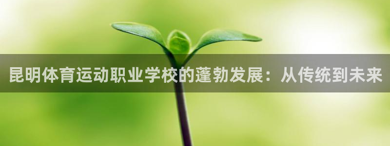 企鹅体育nba露娜：昆明体育运动职业学校的蓬勃发展：从传统到未来