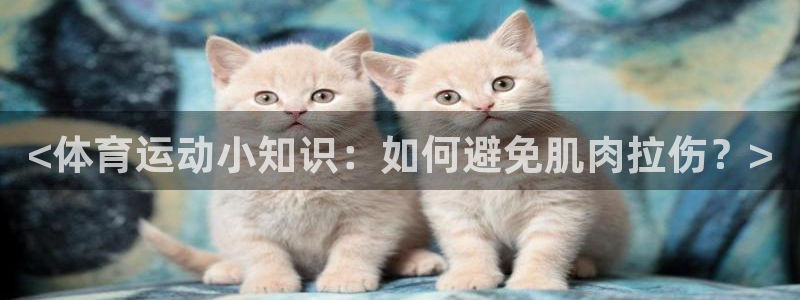 企鹅体育网页版入口：<体育运动小知识：如何避免肌肉拉伤？>