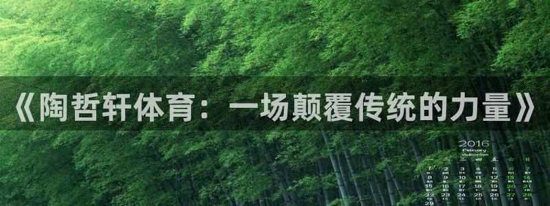 企鹅体育官网入口：《陶哲轩体育：一场颠覆传统的力量》