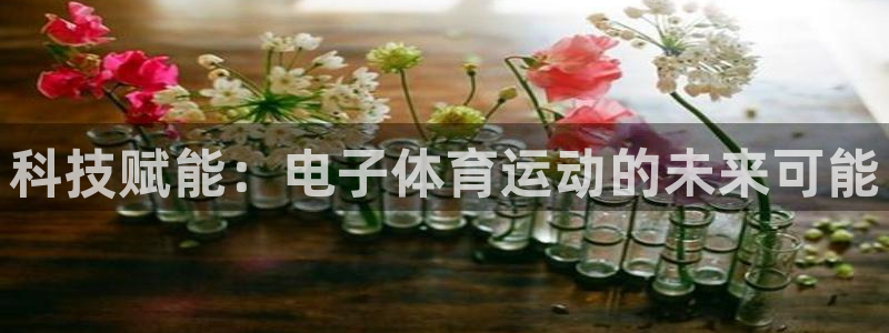 企鹅体育鹅肝：科技赋能：电子体育运动的未来可能