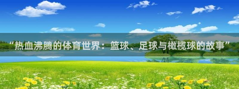 企鹅体育直播免费观看完整版：“热血沸腾的体育世界：篮球、足球与橄榄球的故事”