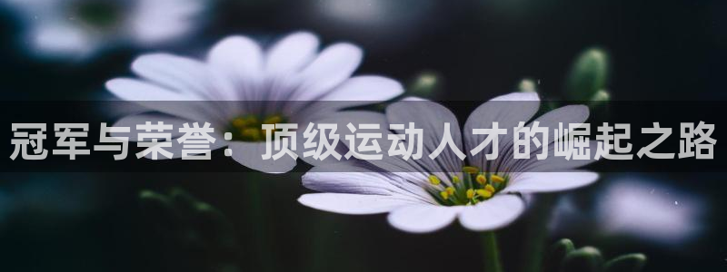 企鹅体育鹅蛋是干嘛的：冠军与荣誉：顶级运动人才的崛起之路
