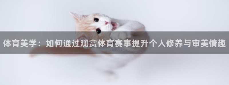 企鹅体育频道直播排球比赛：体育美学：如何通过观赏体育赛事提升个人修养与审美情趣