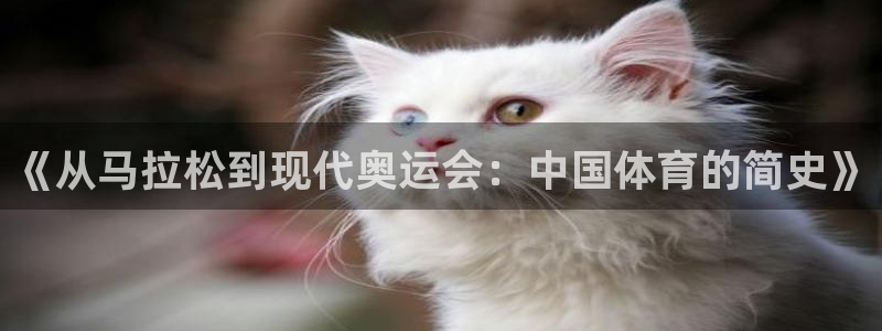 企鹅体育拼音怎么写：《从马拉松到现代奥运会：中国体育的简史》